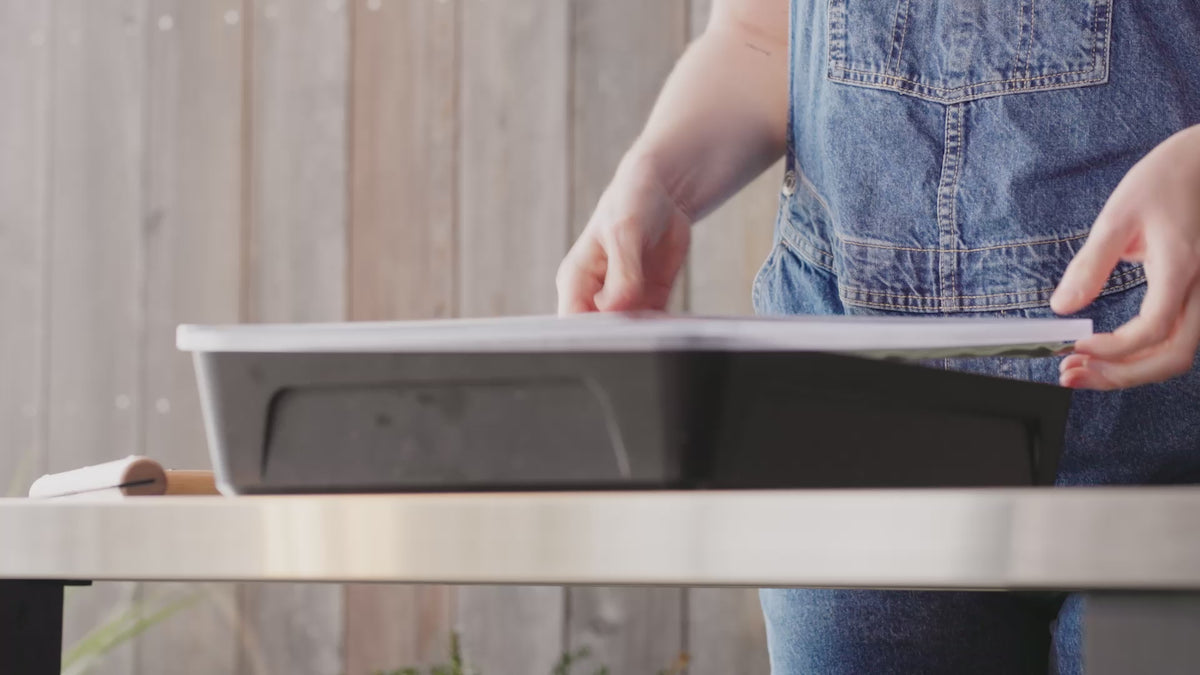 Dough Tools Bundle
